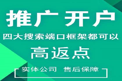 搜索引擎营销（SEM）在本地市场的投放案例